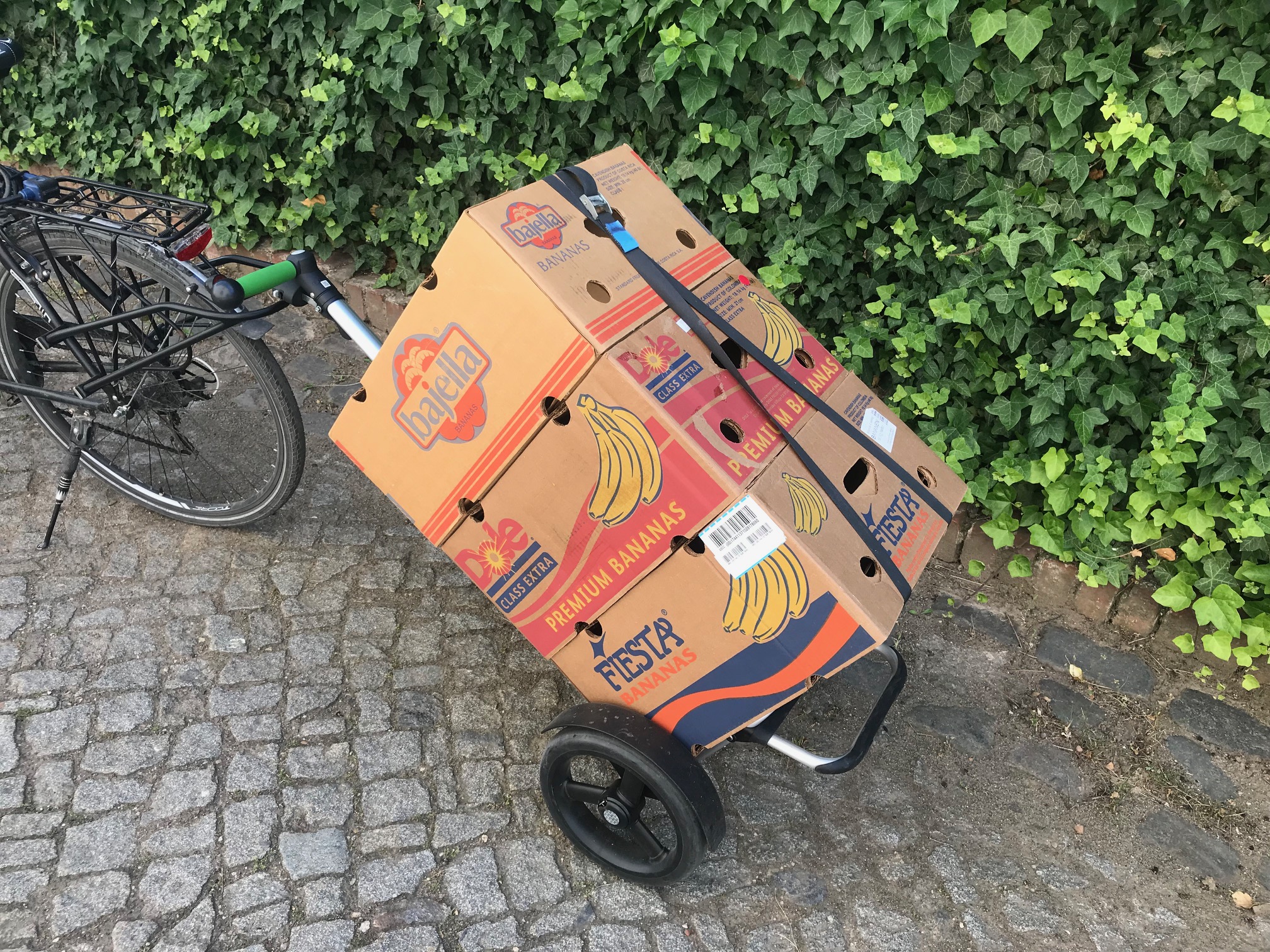 Der kleine Umzug
