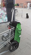 Shopper am Einkaufswagen