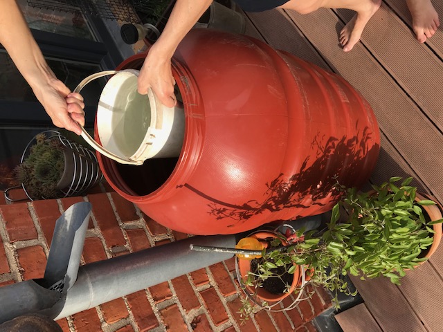 Eimer fuellen aus der Tonne