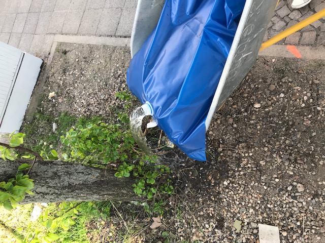 mit Gießsack gießen