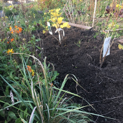 Hildegarten 5